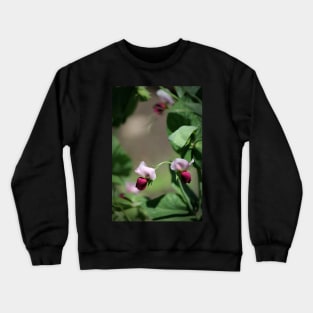 Sweet Pea Blossoms Crewneck Sweatshirt